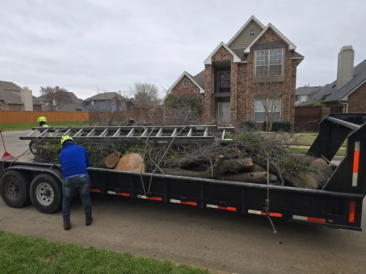 Expert Tree Removal with proper safety equipment in Ypsilanti